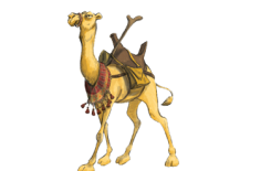 ناقةُ النبي