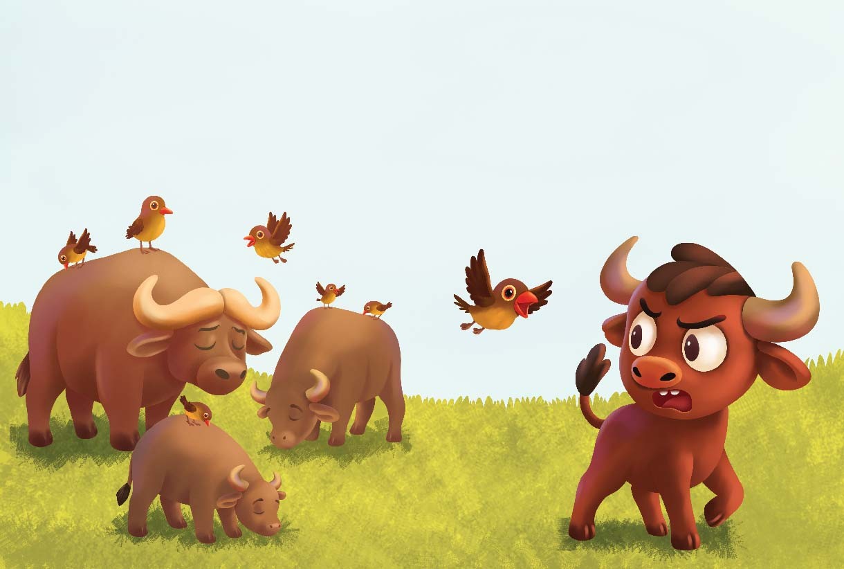 الجاموس الصَّغيرُ والطُّيور