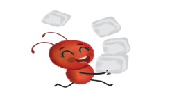 قطعٌ من السُّكر