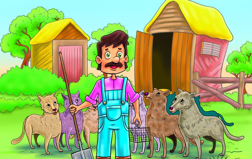 لماذا ايها الرئيس