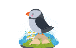 لنتعلم من طائر (البفن)