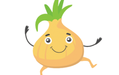 البصل وطريقة زراعته