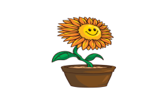 زهرة دوار الشَّمس