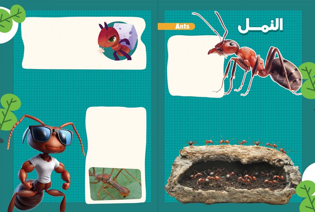 ماذا تعرفُ عن النمل؟