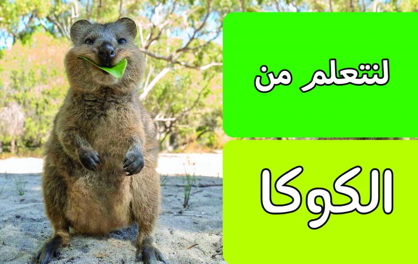 لنتعلم من الكوكا