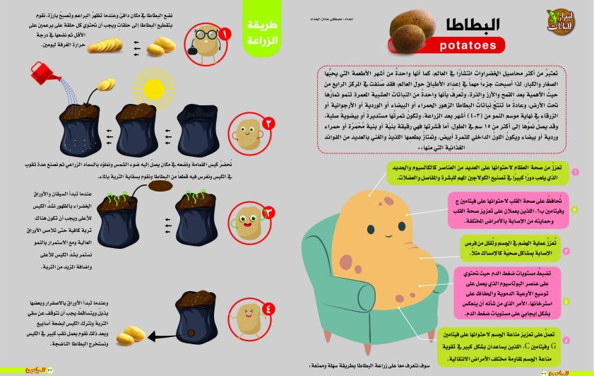 فوائد البطاطا وطريقة زراعتها