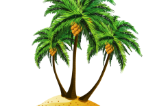 النباتات المركبة