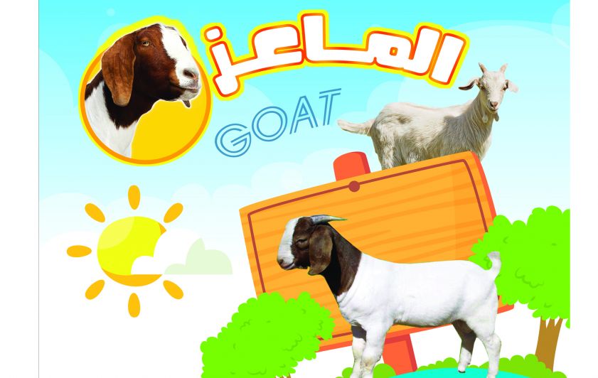 من سلسلة عالم الحيوان ( المـــاعـــز)