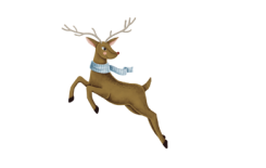 ماذا نتعلم من (الغزال)