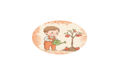 لماذا يجب أن نأكل التفاح؟